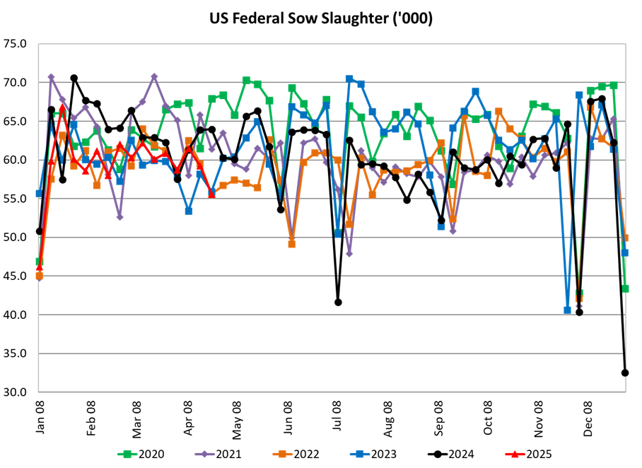 US Sow Slaughter