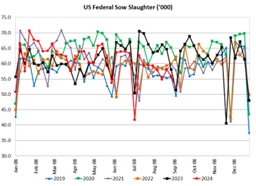 US Sow Slaughter