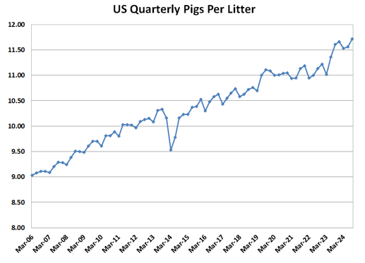 Pigs per litter