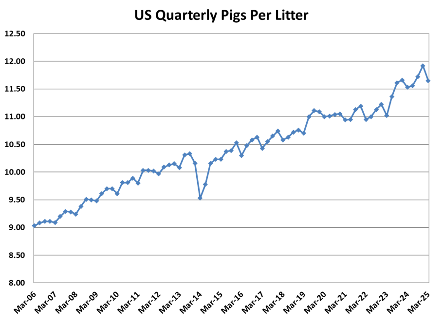 Pigs per Litter
